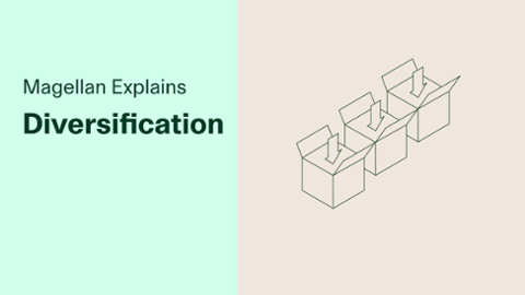 

		
		
		Magellan Explains: Diversification