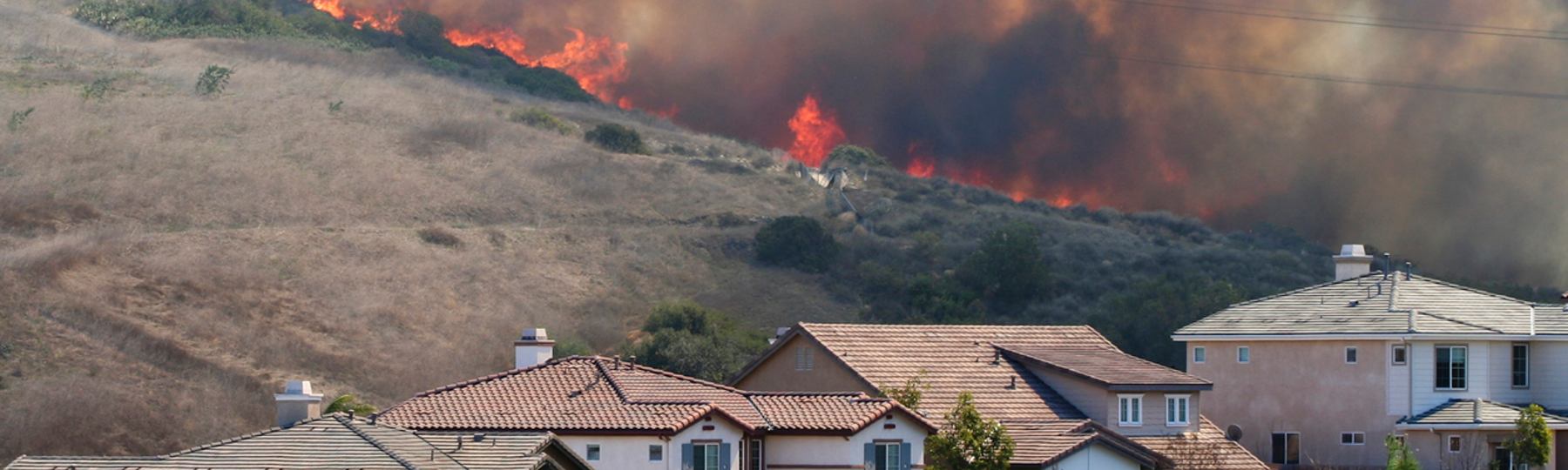 Infrastructure in focus: The burning infrastructure issue from wildfires