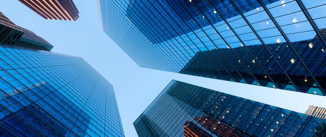 Magellan Global Opportunities Strategy Strategy