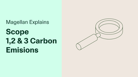 

		
		
		Magellan Explains: Scope 1,2 & 3 carbon emissions