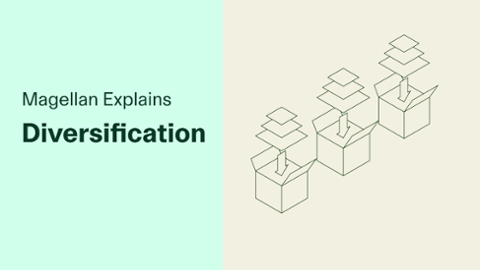 

		
		
		Magellan Explains: Diversification