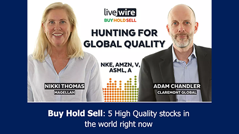 

		
		
		Buy Hold Sell: 5 high-quality stocks in the world right now