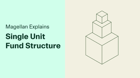 

		
		
		Magellan Explains: Single Unit Structure